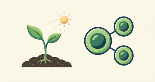 Reproduction and Growth - Biology (Senior Secondary)