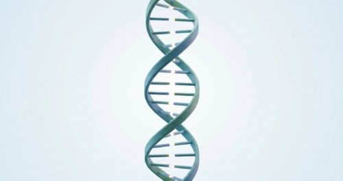 Genetics and Heredity - Biology (Senior Secondary)