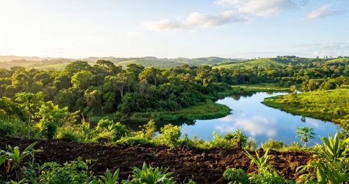 Environment and Conservation - Biology (Senior Secondary)