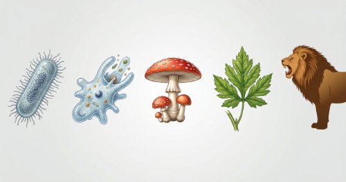 Variety of Organisms - Biology (Senior Secondary)