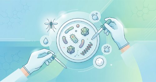 Microorganisms and Public Health - Biology (Senior Secondary)